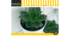 Desktop Screenshot of insituwallplanters.com.au